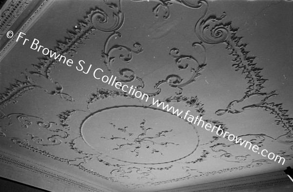 SUMMERGROVE HOUSE CEILING OF BEDROOM